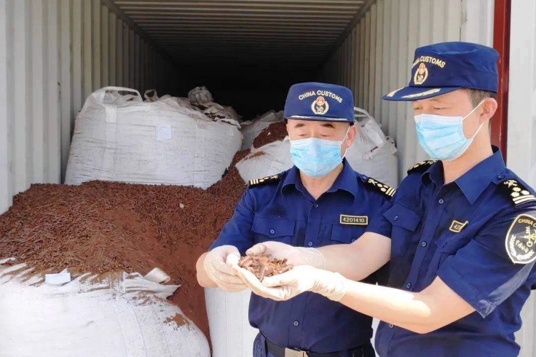 出口管制应对咨询(出口管制的具体措施)德令哈市