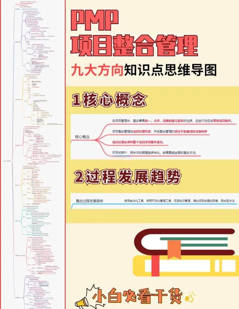 整合项目管理服务(项目整合管理的主要工作是)德令哈市