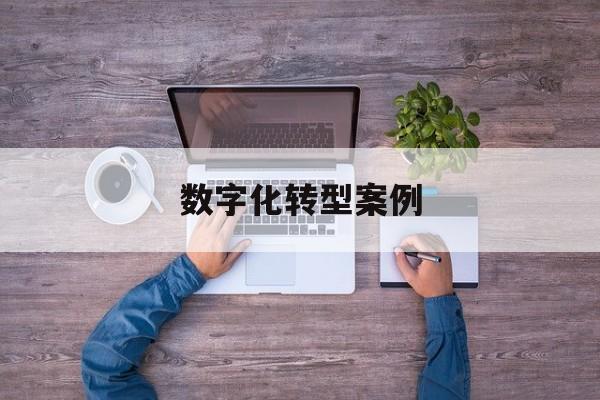 数字化转型案例(数字化转型案例公司)德令哈市