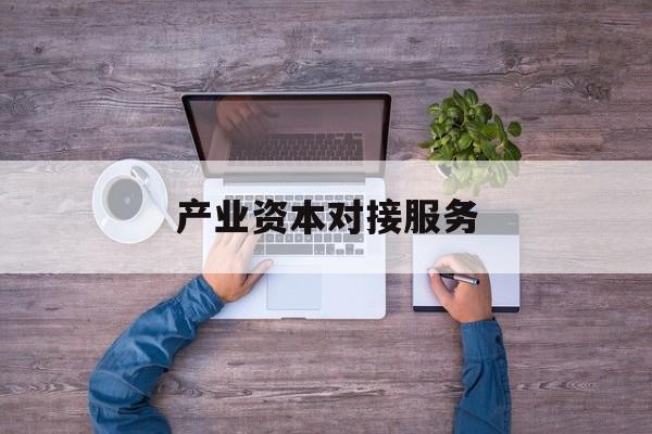 产业资本对接服务(产业资本对接服务包括哪些)德令哈市
